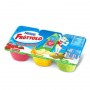 NESTLE FRUTTOLO GR.300 X6