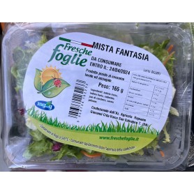 FRESCHE FOGLIE MISTA FANTASIA GR 165