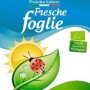 Fresche Foglie